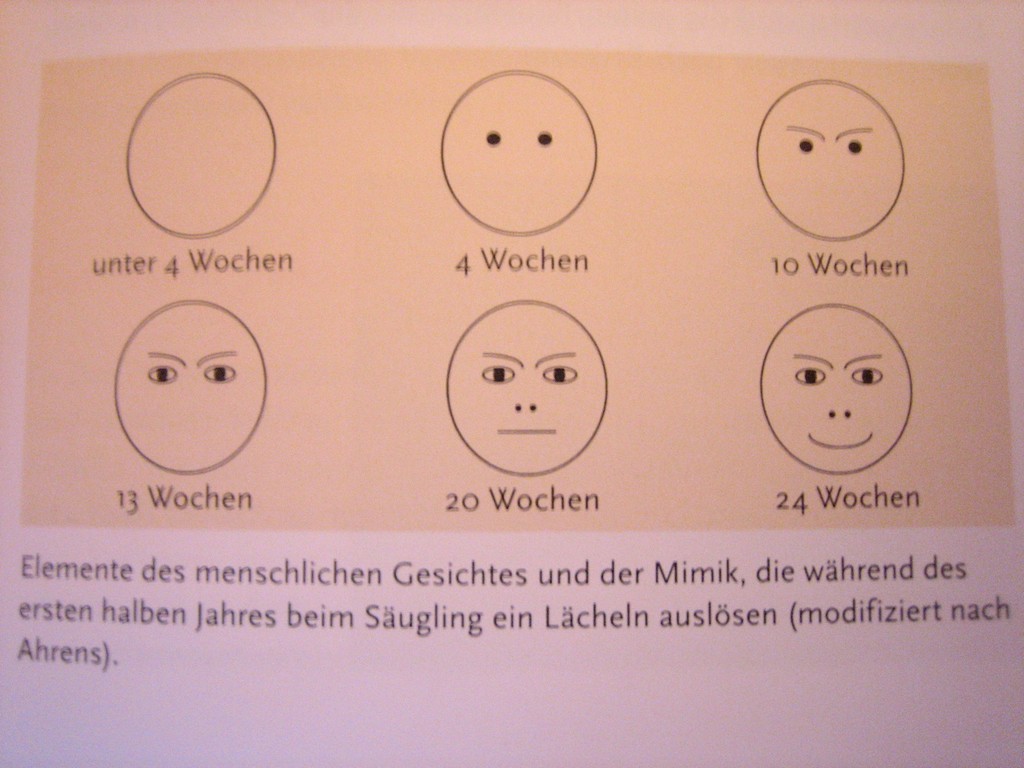 Baby Wahrnehmung